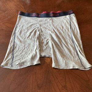 Hanes Gray Boxer Briefs with Black Waistband